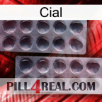 Cial 31